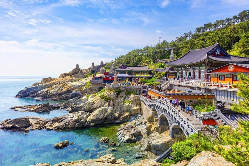 Busan: Private Chartered Car Tour - Why a private car helps in spread-out Busan