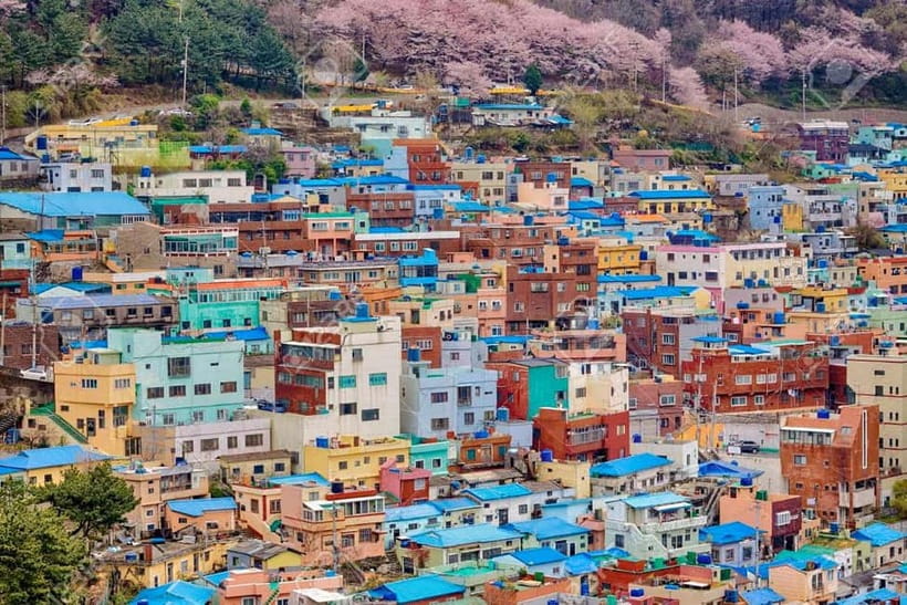 Busan: Private Chartered Car Tour - The price makes most sense for a small group