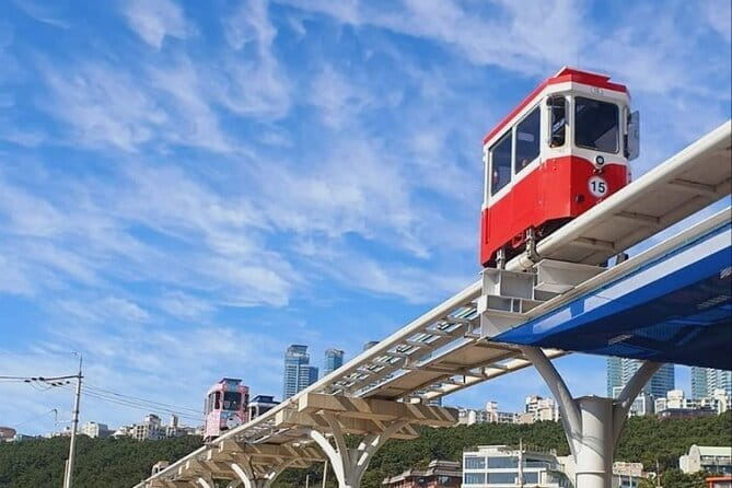 Busan Private Guide Tour : Enjoy customized tour only for you! - A nine-hour day built around your interests