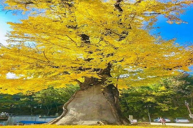 Busan Private Hiking Tour : Panoramic Views Awaits - Walking Beside Geumjeongsanseong Fortress