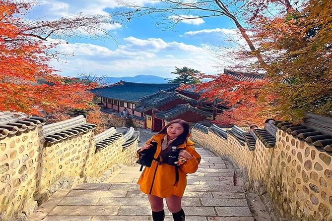 Busan Private Hiking Tour : Panoramic Views Awaits - Who Should Book This Geumjeongsan Experience?
