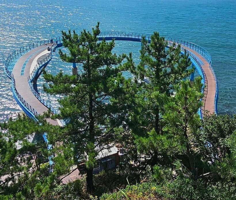 Busan: Private Minibus Tour for Cruise Guests 8-17 People - Meeting your guide at Busan’s cruise terminal