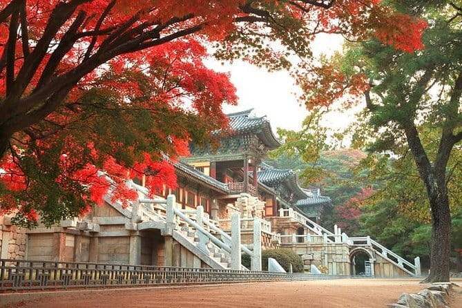 Busan private tour in English or Mandarin - What the $209.50 price really buys