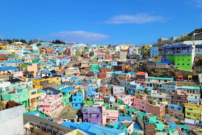 Busan Relaixing Tour Only for Your Group - What the Guide and Vehicle Add