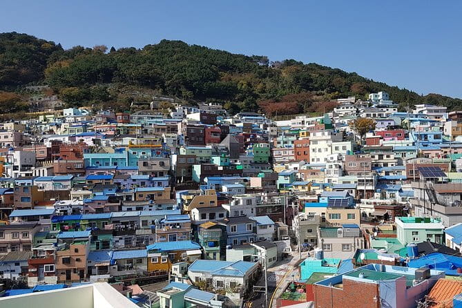 Busan Relaixing Tour Only for Your Group - Who Will Get the Most From This Day?