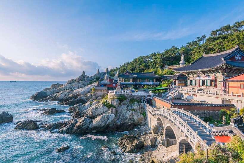 Busan's Best: Sea Temples, Yacht Tour & Sky Capsule Day Tour - The long ride back and what it means for the day