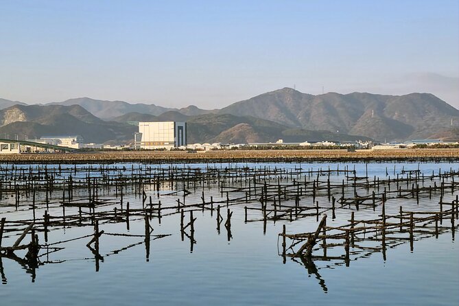 Busan Seafood Tour : Oyster village Tour with Oyster cuisines - Lunch At A Famous Oyster Restaurant