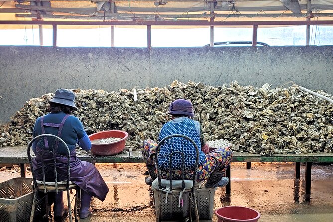 Busan Seafood Tour : Oyster village Tour with Oyster cuisines - Returning To Busan By Bus At 13:30
