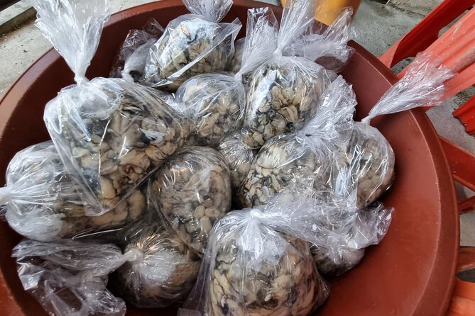 Busan Seafood Tour : Oyster village Tour with Oyster cuisines - Practical Details Before You Book