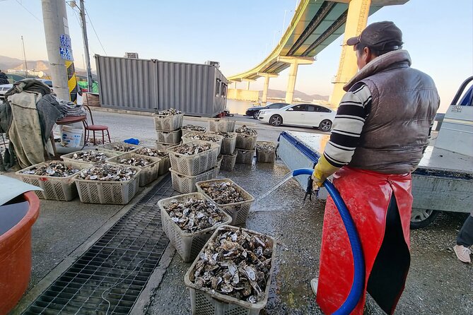 Busan Seafood Tour : Oyster village Tour with Oyster cuisines - The Bus Ride To An Island Fishing Village
