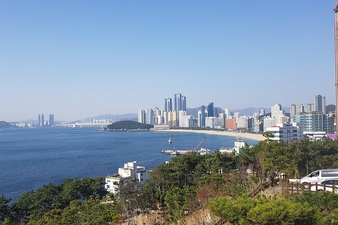Busan Shore Excursion; Private City Tour - Five things to know before you book