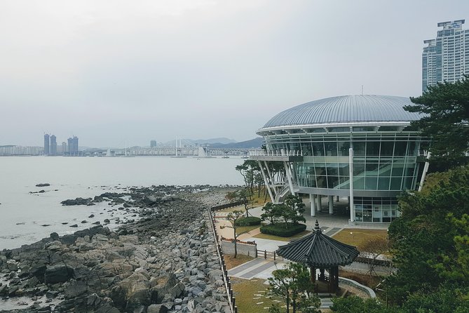 Busan Shore Excursion; Private City Tour - A full day across Busan’s very different sides