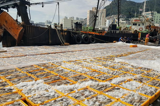 Busan Shore Excursion; Private City Tour - The Tombstone Culture Village and wartime memory