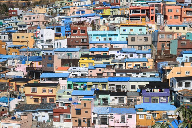 Busan Sightseeing Tour Including Gamcheon Culture Village and Beomeosa Temple - Jagalchi Market shows Busan at work