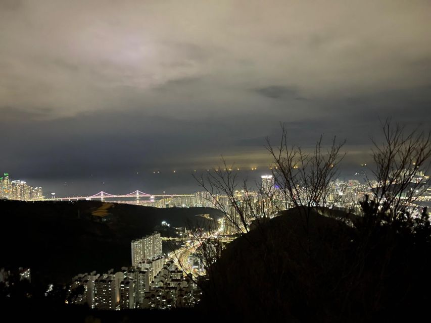 Busan: The Best Night View Small Group Tour - Making the most of the city lights
