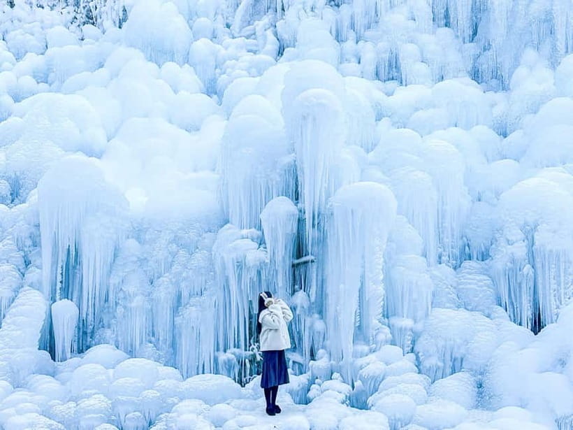 Busan: Winter Healing Park and (Gyeongju/Daegu) One Day Tour - Key points at a glance