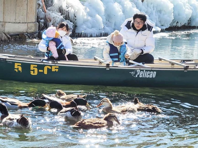 Busan: Winter Healing Park and (Gyeongju/Daegu) One Day Tour - Who should choose each option?