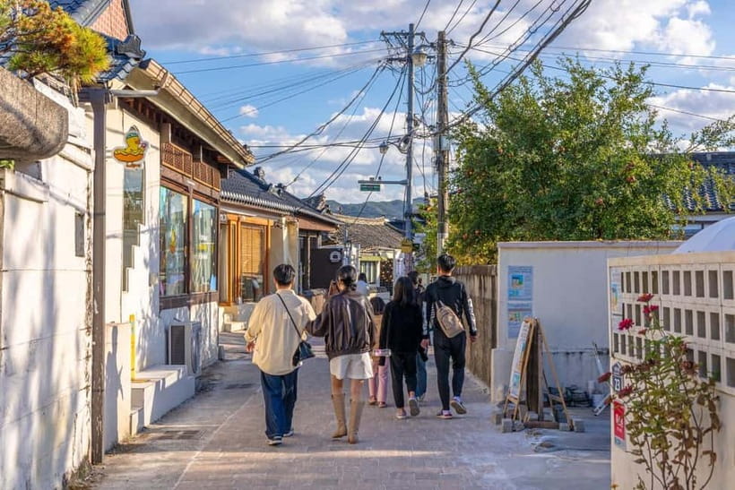 Busan: Winter Healing Park and (Gyeongju/Daegu) One Day Tour - Practical advice before you book