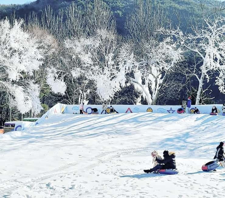 Busan: Winter Healing Park and (Gyeongju/Daegu) One Day Tour - Snow, sledges, and canoes at Kookmin Healing Park