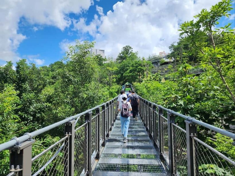 Closest Observatory to DMZ: North Korea View(Starbucks Tour) - From Hill 154 to Aegibong Peace Ecopark