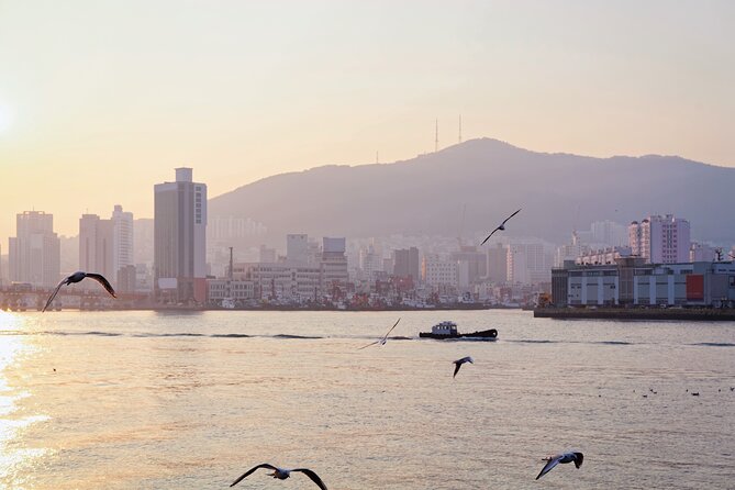 Colors of Busan: Sky Capsule, Jagalchi Market & Night Views - Key points at a glance