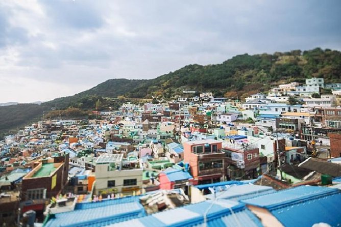 Cruise Layover Busan Highlight Tour with Sea temple and Gamcheon - Jagalchi Market and the taste of working Busan
