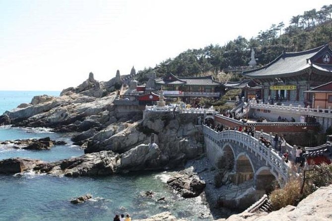 Cruise Layover Busan Highlight Tour with Sea temple and Gamcheon - BIFF Square, Gukje Market, and the best lunch decision