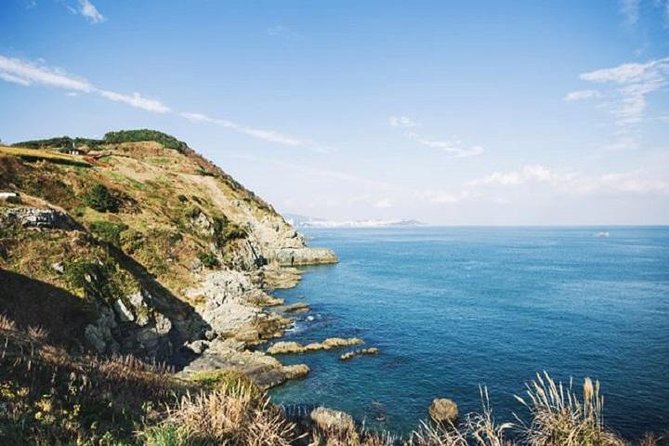 Cruise Layover Busan Highlight Tour with Sea temple and Gamcheon - Guides can make or break the eight-hour schedule