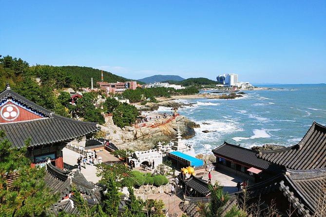 Cruise Layover Busan Highlight Tour with Sea temple and Gamcheon - Haedong Yonggungsa, Busan’s sea-facing temple