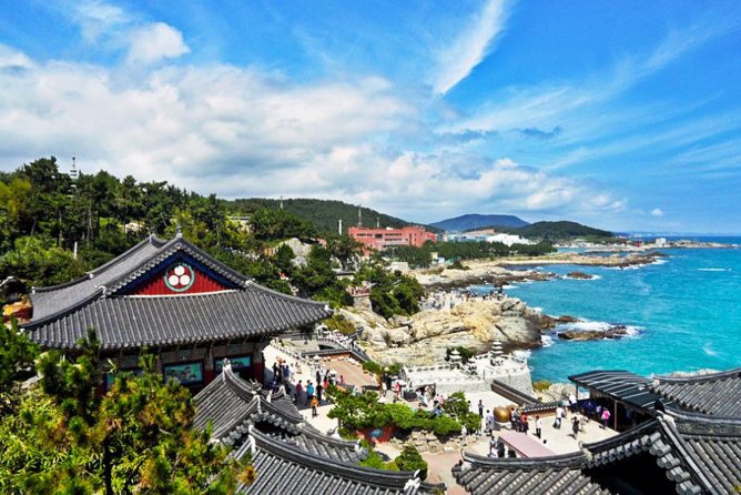 Cruise Layover : Small Group Busan Highlight Day Tour - Gukje Market and Jagalchi Market: Busan on a plate