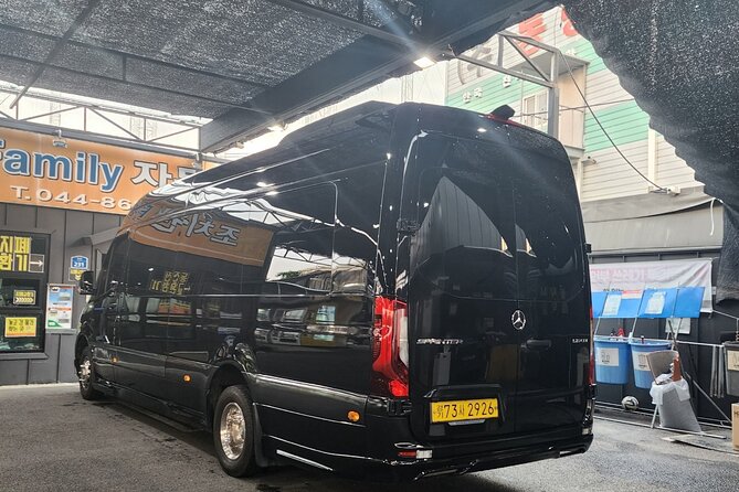 Customizable Private Seoul Tour in luxury van for VIP - Changdeokgung Palace and the Secret Garden
