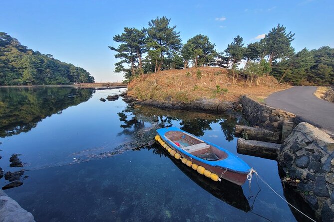Customized private tour in Jeju island - A private day for shaping Jeju around you