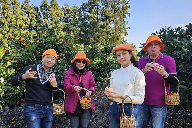 Customized private tour in Jeju island - Custom planning works best with clear priorities
