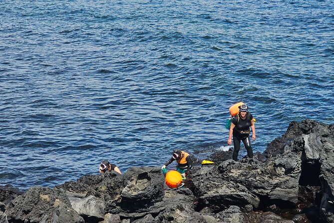 Customized private tour in Jeju island - Language support deserves careful attention