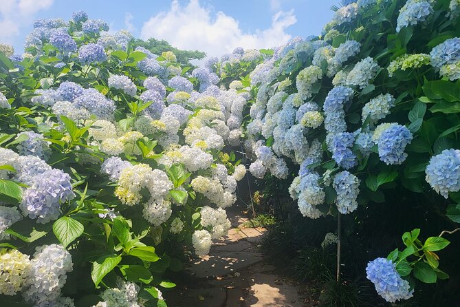 Customized private tour in Jeju island - What $175 per person really buys