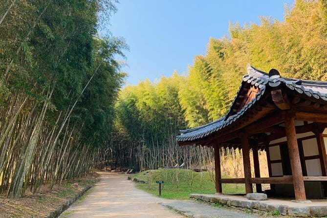 Damyang Bamboo Forest Tour (Private) - Six reasons this Damyang day trip works