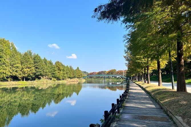 Damyang Bamboo Forest Tour (Private) - Gwanbangjerim Forest and the practical side of old Damyang