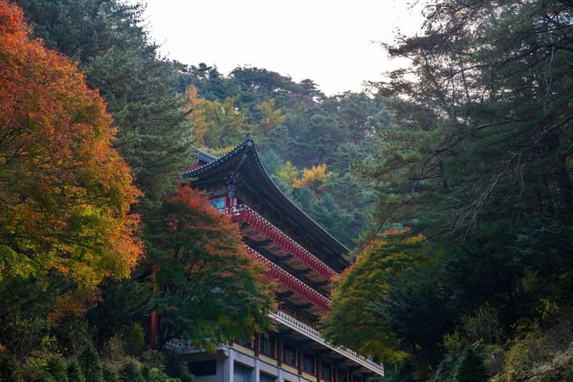 Danyang Tour:Guinsa Temple & Bobaljae & Cheongpung Cable Car - Why this Danyang day trip is worth considering