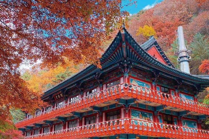 Danyang Tour: Guinsa Temple & Bobaljae & Mancheonha Skywalk - Why this Danyang day trip is worth considering