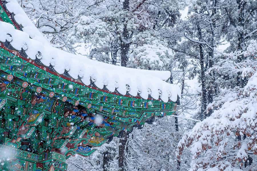 Danyang Tour:Guinsa Temple & Bobaljae & Ondal Park and Cave - Guinsa Temple, Korea’s large forest temple complex