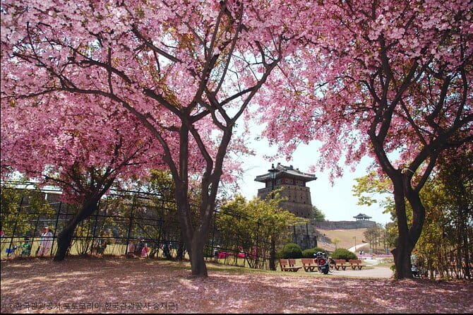 Day Tour of Suwon Hwaseong Fortress Starfield Waujeongsa Temple - Who should book this Suwon tour?