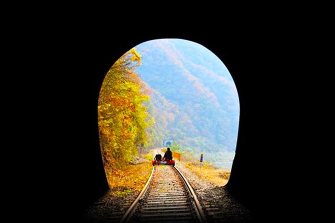 Day Tour to Gangchon Rail Bike Nami Island and Petite France - Who will enjoy this experience most?