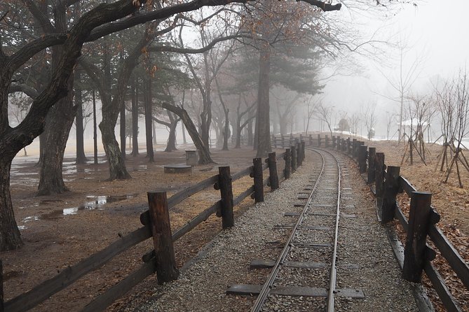Day Tour to Gangchon Rail Bike Nami Island and Petite France - Should you book the Gangchon, Nami Island, and Petite France tour?