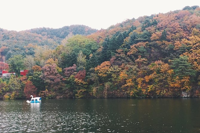 Day Tour to Gangchon Rail Bike Nami Island and Petite France - Petite France: a compact themed village