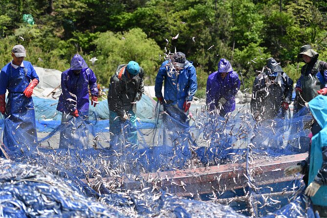 Day trip to beautiful Korean marine national park, Hallyeohaesang - Oedo Botania: a garden reached by ferry