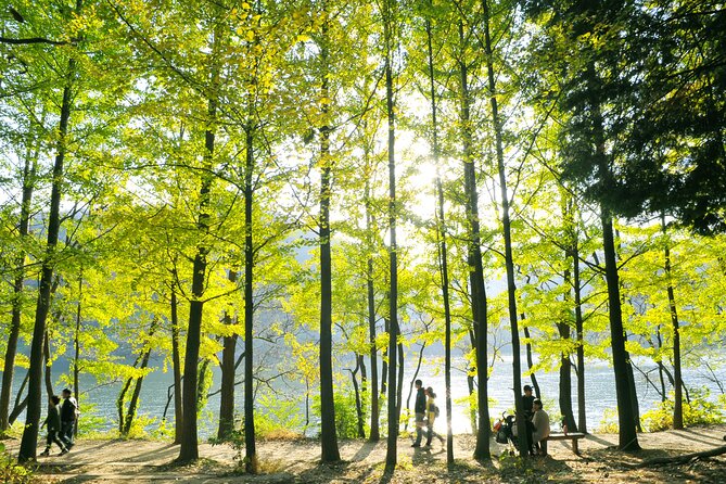 Day Trip to Nami Island with Rail bike and The Garden of Morning Calm - Who will enjoy this combination most