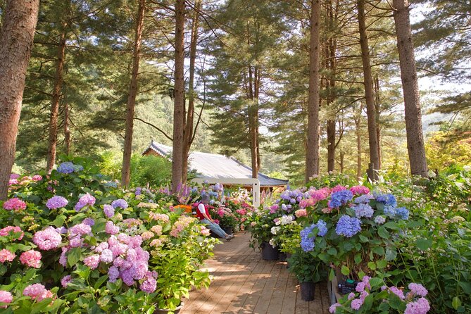 Day Trip to Nami Island with The Garden of Morning Calm - How the guides shape the day