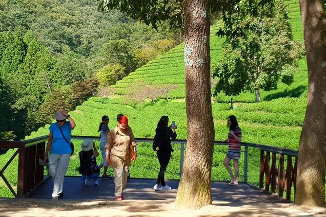 Discover Western Korea in 4days: All-Inclusive Experience - Fitness, group size, and who should book