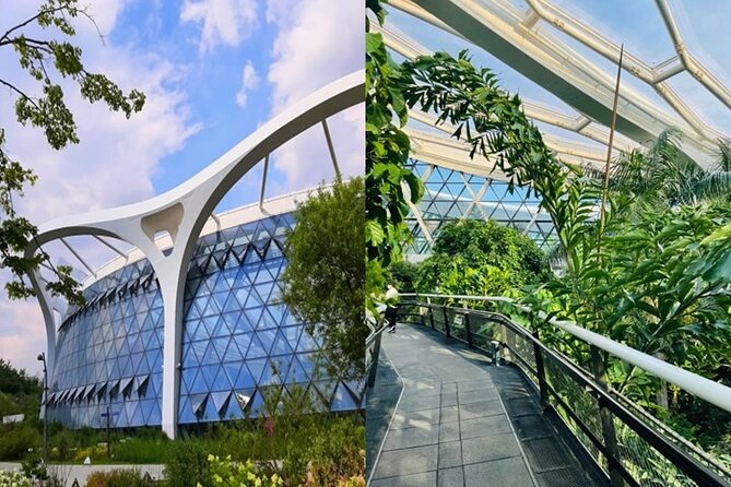 DIY Seoul Private Tour: Select 4 places you want to go - Markets: Gwangjang and Mangwon