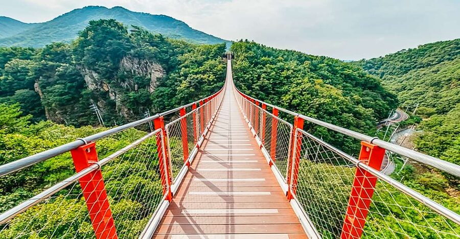 DMZ Insider Tour: 3rd Tunnel, NK Defector Meet & Red Bridge - Why this DMZ day trip is worth your time